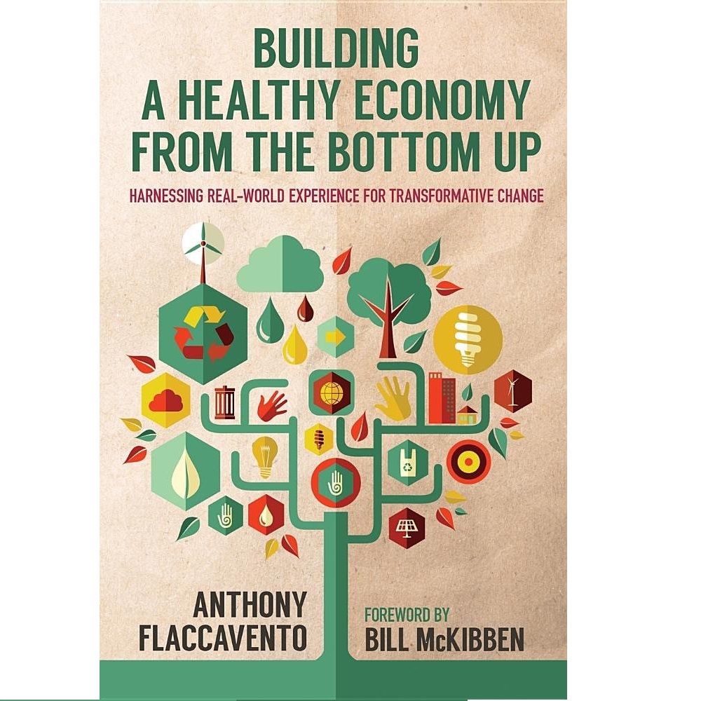 Building a Healthy Economy From the Bottom Up: Harnessing Real-World Experience for Transformative Change