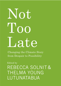 Not Too Late Changing the Climate Story from Despair to Possibility